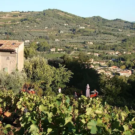Charming Studio In Small Farmhouse With A View Appartement