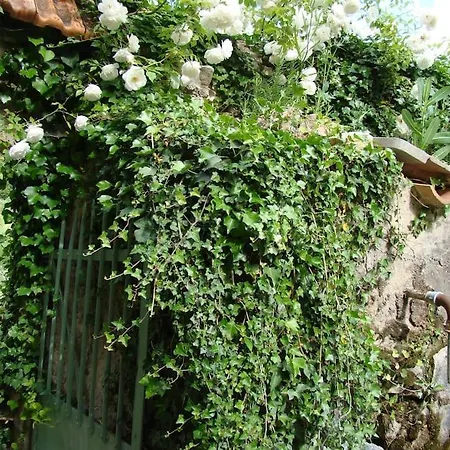 Appartement Charming Studio In Small Farmhouse With A View